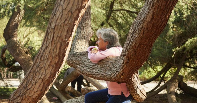 Forest Therapy, at the Huntington, may be your unexpected stress reliever