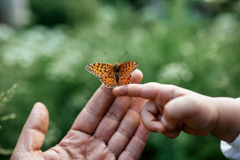 Strength in Leadership: How Gentleness Changes Everything