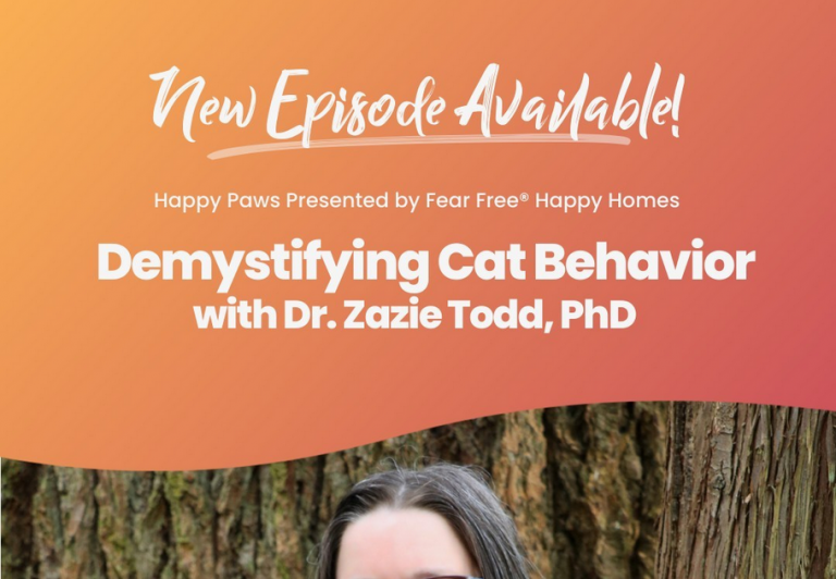 Demystifying Cat Behavior on Happy Paws