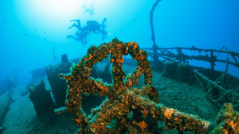 How artificial reefs are changing the ocean