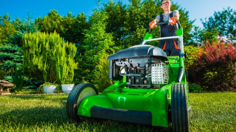 Starting a Landscaping Business: 15 Essential Steps