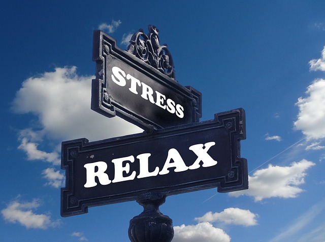 Case Study: A Mindfulness-Based Approach to Stress Reduction