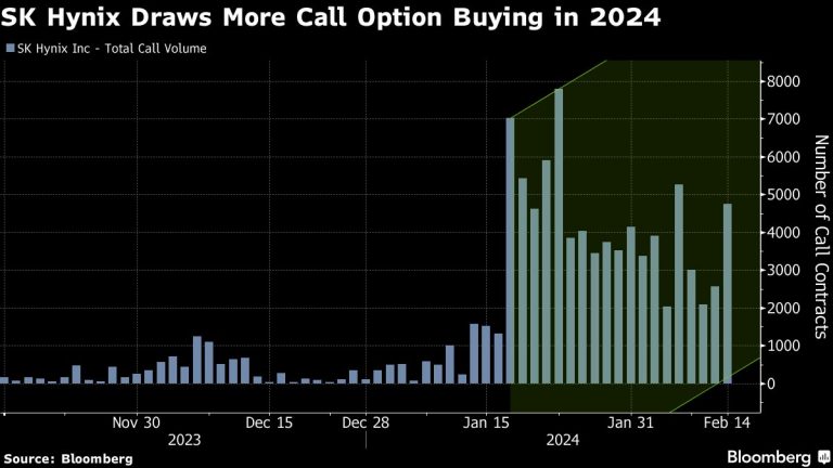 Top AI Memory Maker SK Hynix May Add to 95% Rally