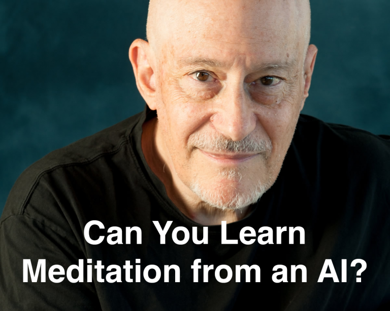 Can You Learn Meditation from an AI? – with Shinzen Young